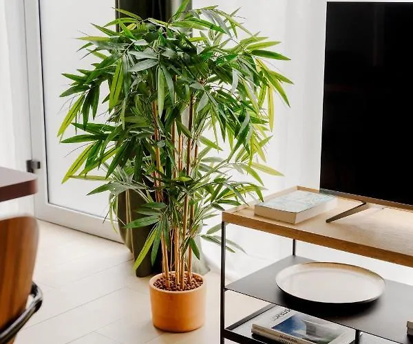 公寓 Edgar Vicat - Porte De Versailles *